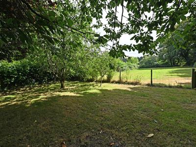 Picture 22